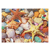 White Mountain Jigsaw Puzzle | Beach Shells 550 Piece